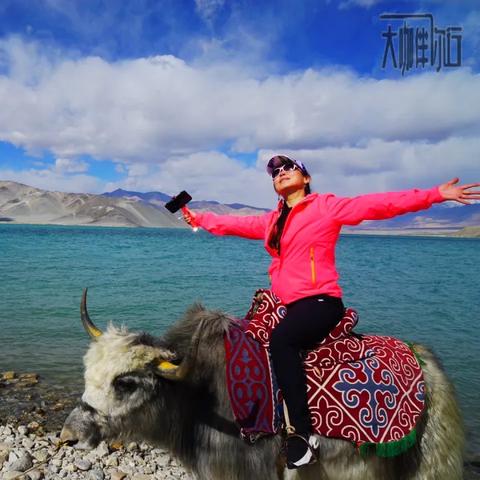 金湖国道车祸,多车相撞,交通混乱,伤亡待报,事故原因调查进行中