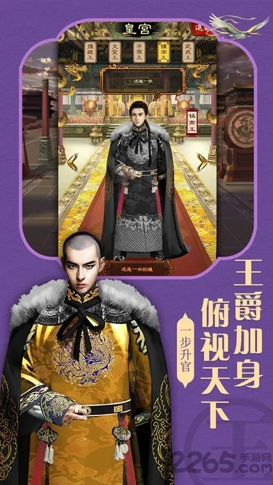 升官类手游和sai激活码,全面设计实施策略_尊享版_v8.958